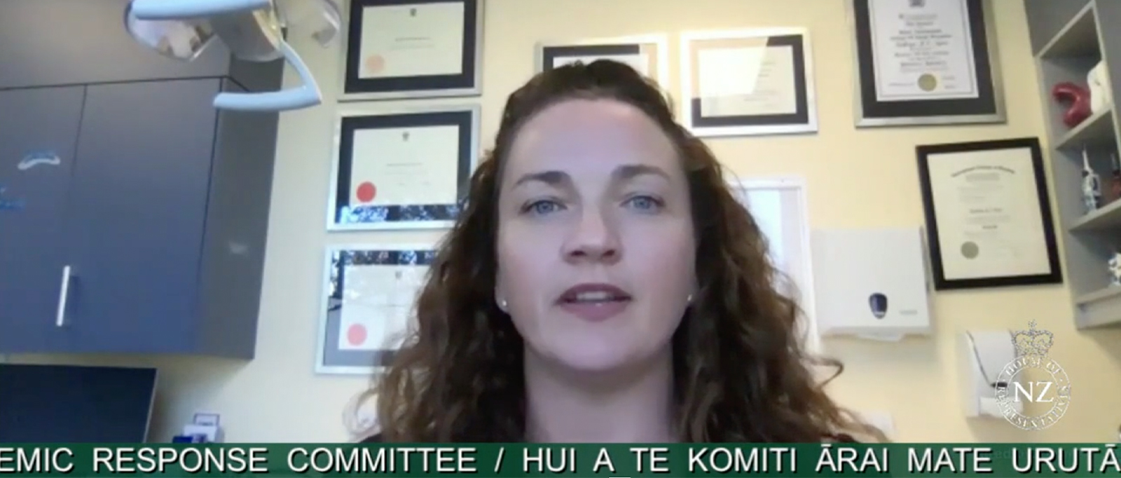NZDA President Katie Ayers presents to the Epidemic Response Committee